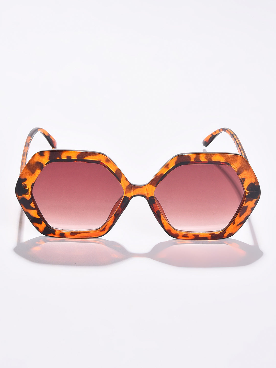 Brown Lens Brown Wayfarer Sunglasses