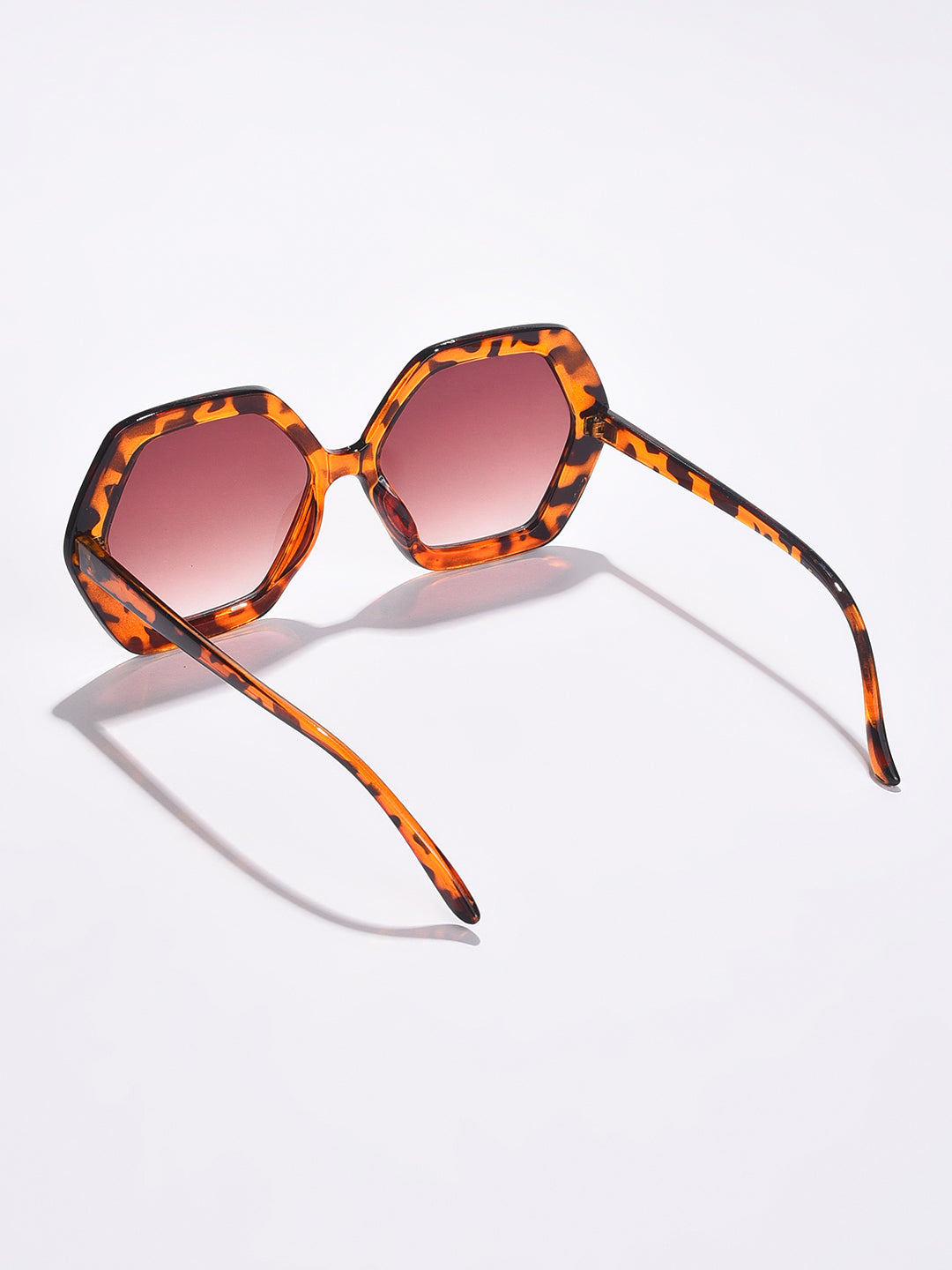 Brown Lens Brown Wayfarer Sunglasses