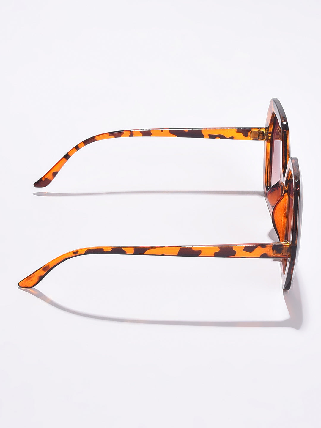 Brown Lens Brown Wayfarer Sunglasses