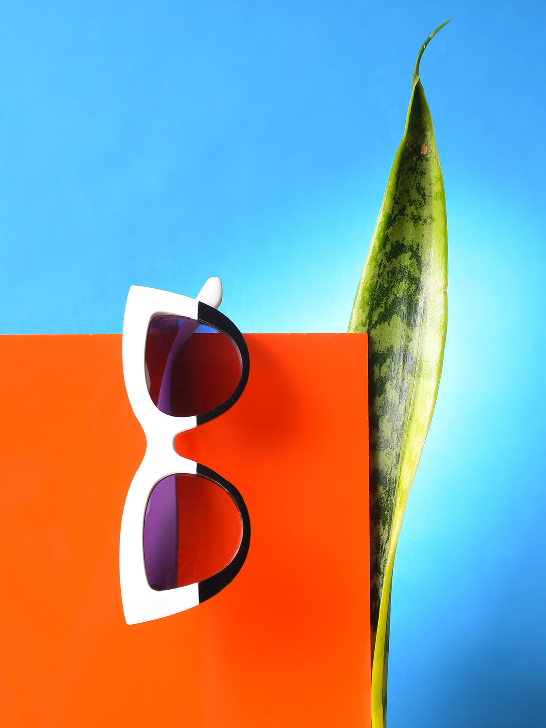 Add A Pop Of Color To Every Look With These Vibrant Sunglasses.