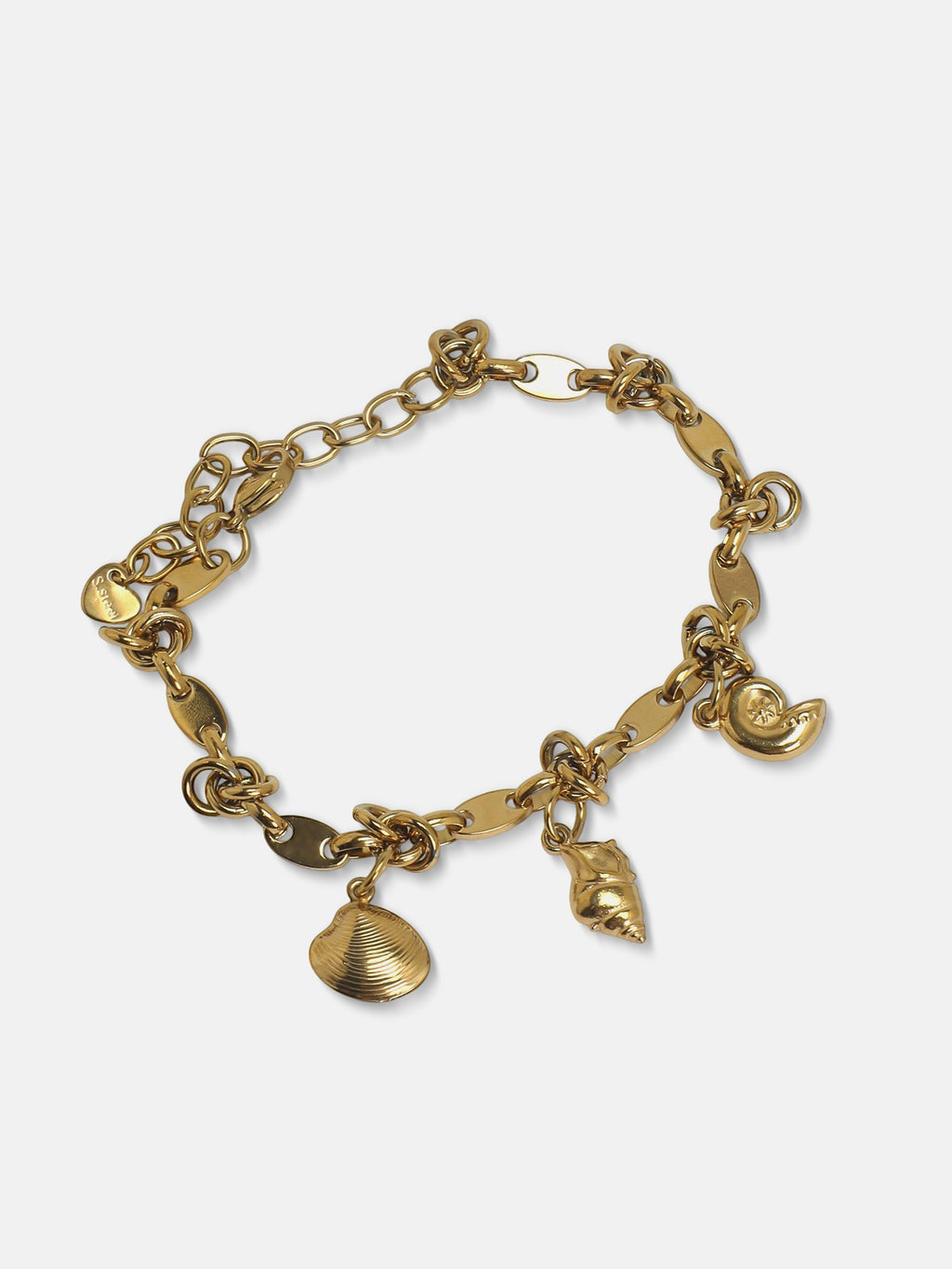The Golden Fortune Charm Bracelet