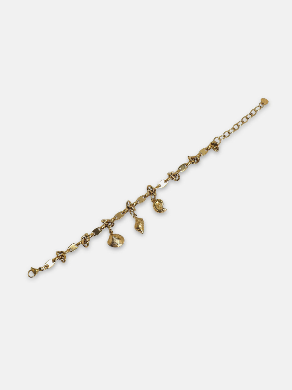 The Golden Fortune Charm Bracelet