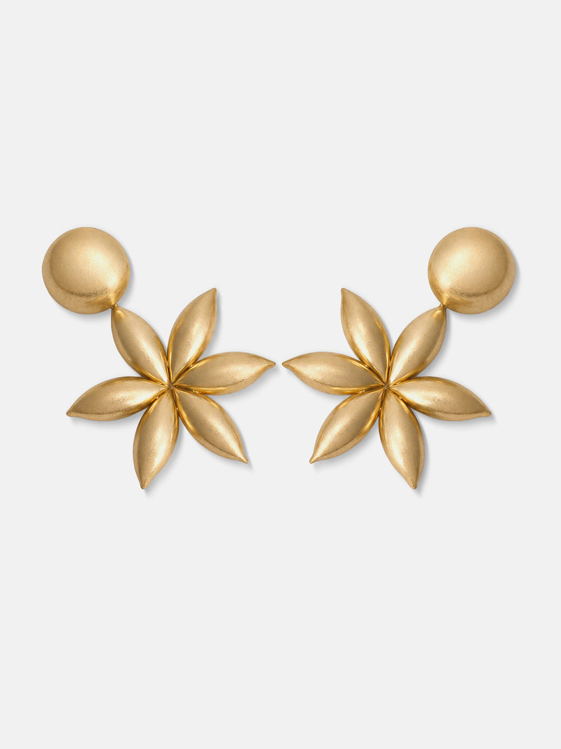 The Celeste Star Drop Earrings