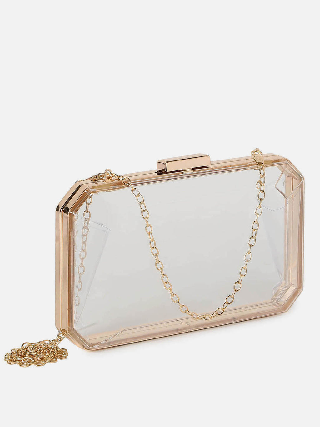 Sheer Elegance Transparent Clutch