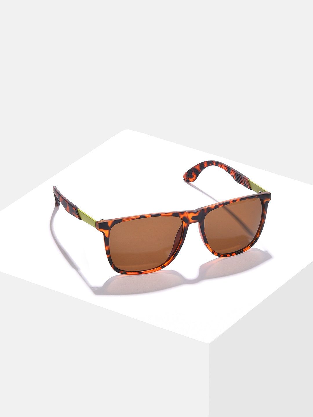 Brown Lens Brown Wayfarer Sunglasses