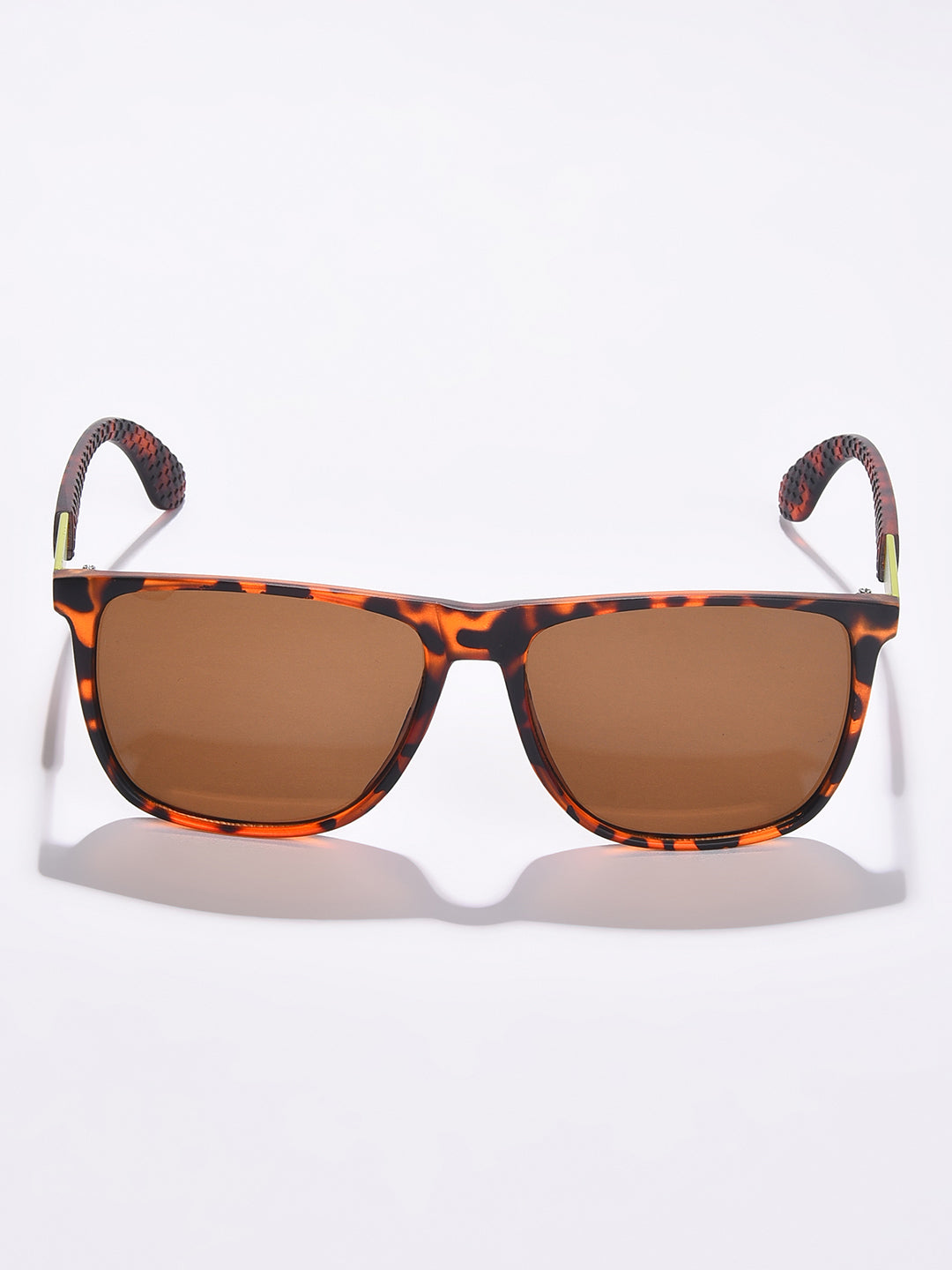 Brown Lens Brown Wayfarer Sunglasses