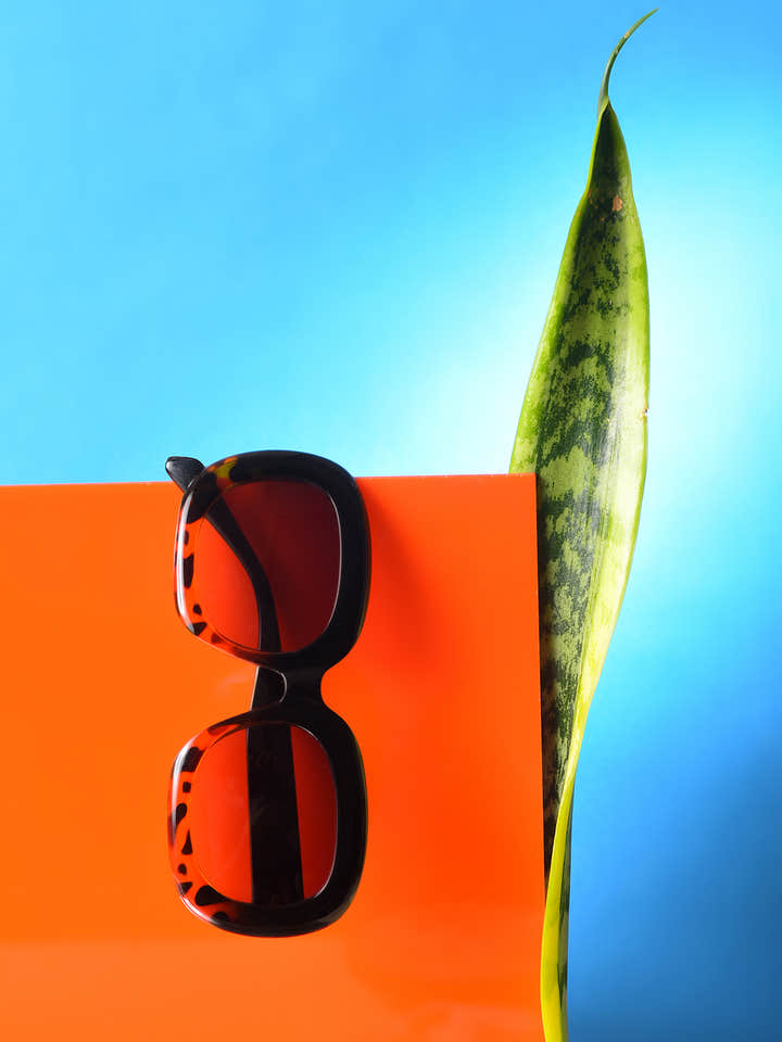 Purple Lens Black Wayfarer Sunglasses