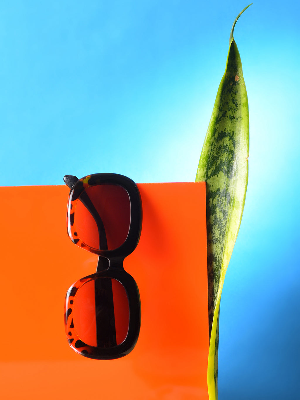 Purple Lens Black Wayfarer Sunglasses