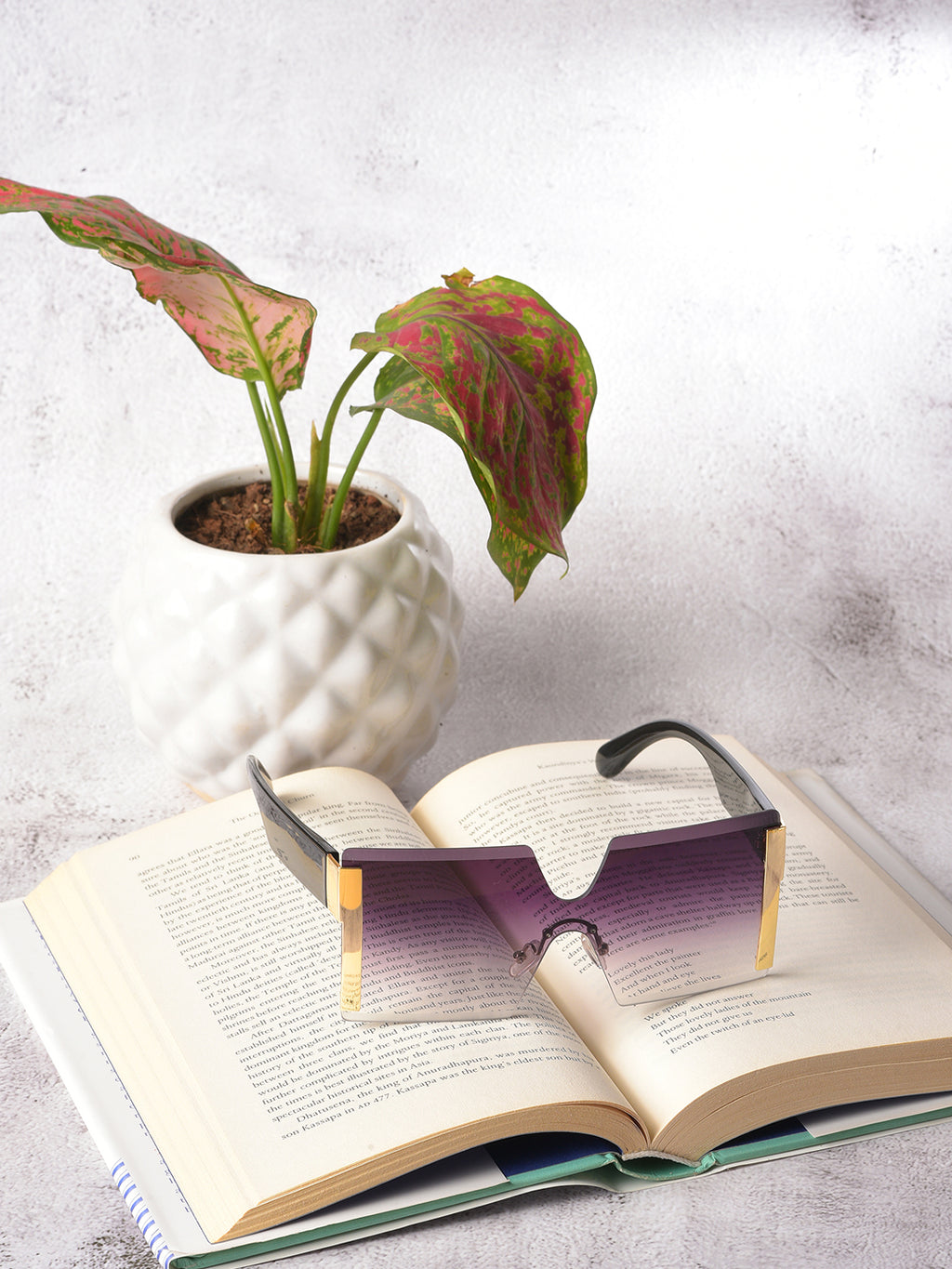 Purple Lens Purple Oversized Sunglasses