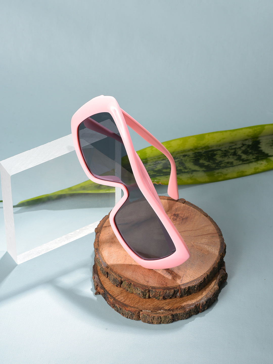 Black Lens Pink Wayfarer Sunglasses