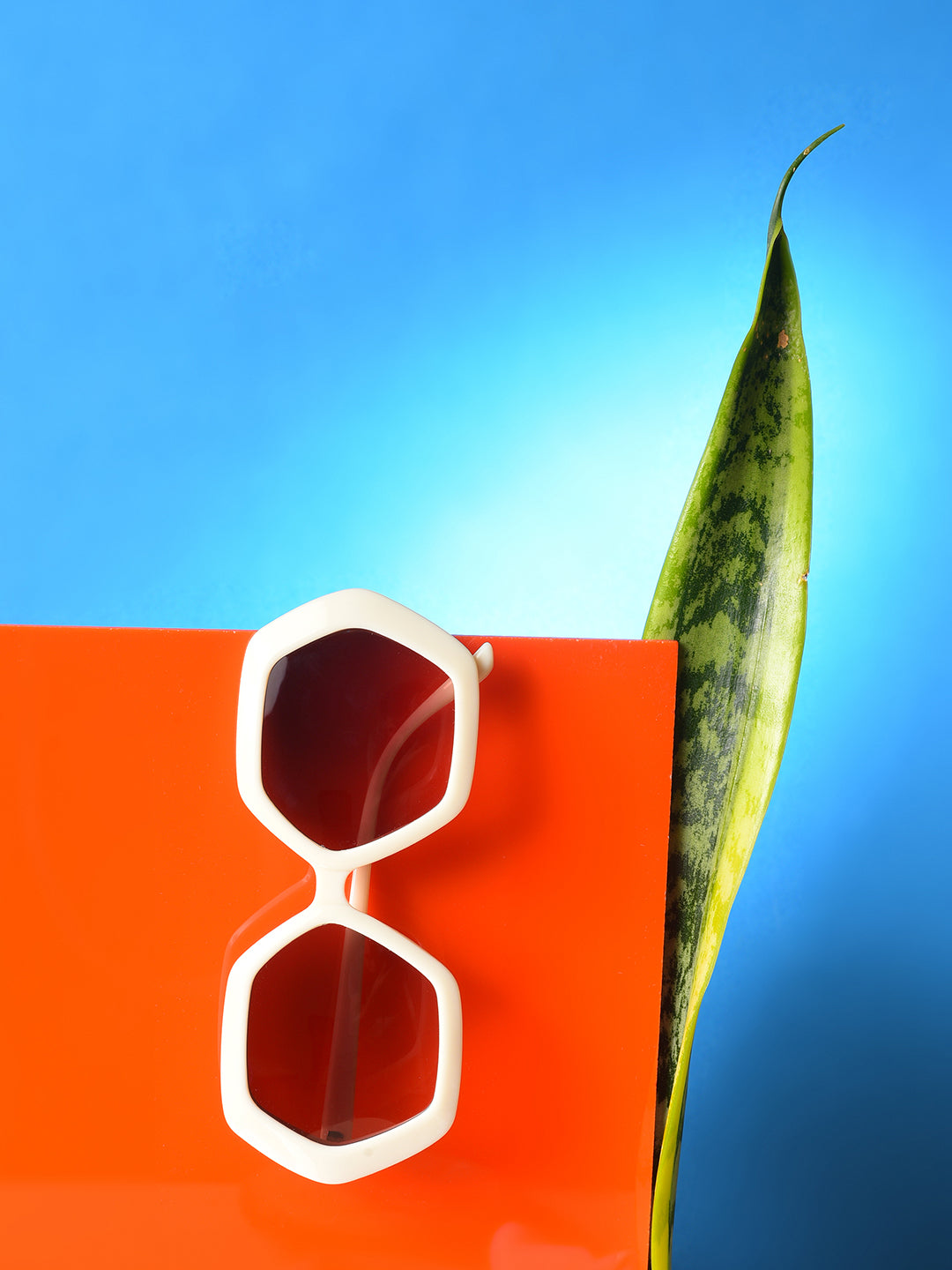 Brown Lens White Wayfarer Sunglasses