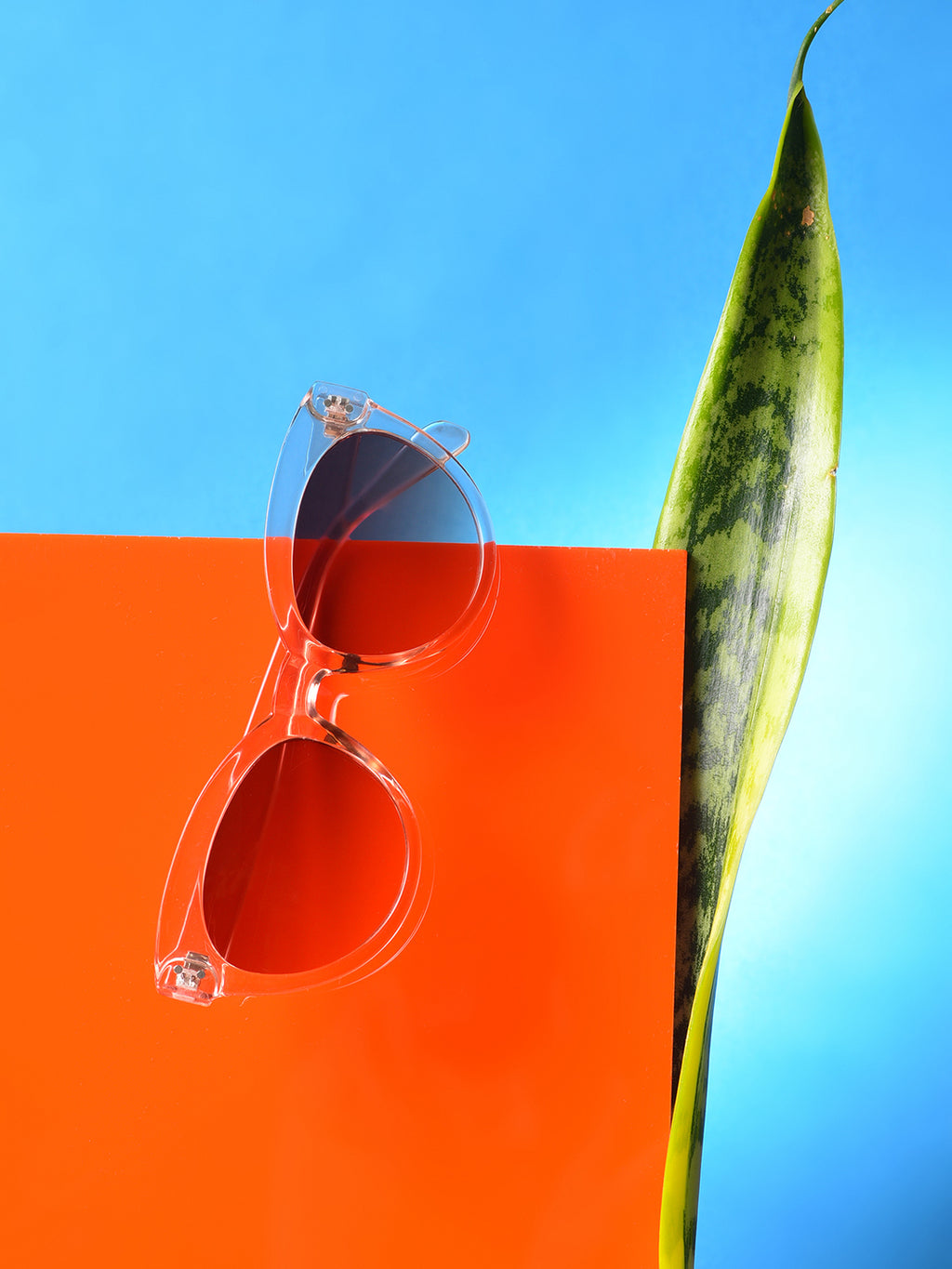 Brown Lens White Cateye Sunglasses
